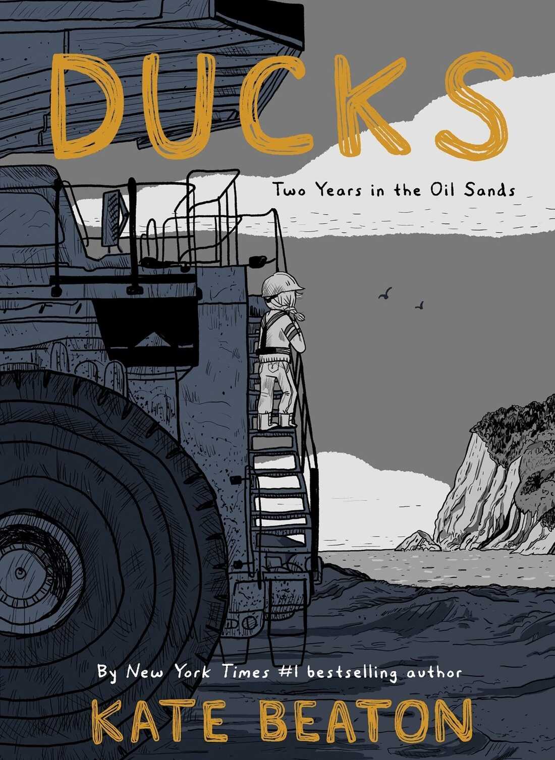 DUCKS Cover DUCKS Cover